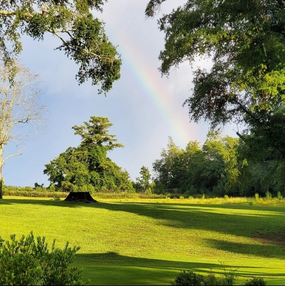 Welcome! - Picture 16 of 16